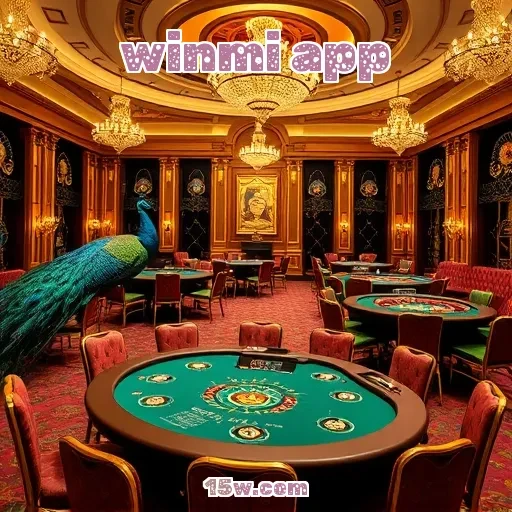 winmi app: Os Recursos de Pagamento Que Você Não Pode Ignorar